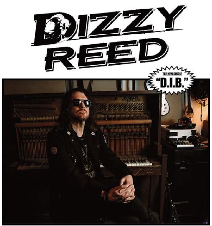 Dizzy Reed Net Worth 2024, Age, Height, Bio, Birthday, Wiki!