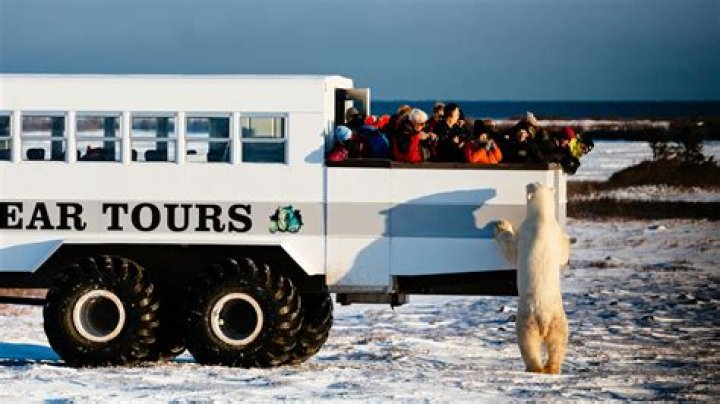 Eight Tours to See in 2018!