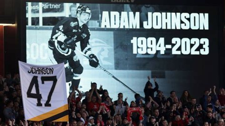 Fame | Mike Johnson (ice hockey) net worth and salary income estimation Apr, 2024