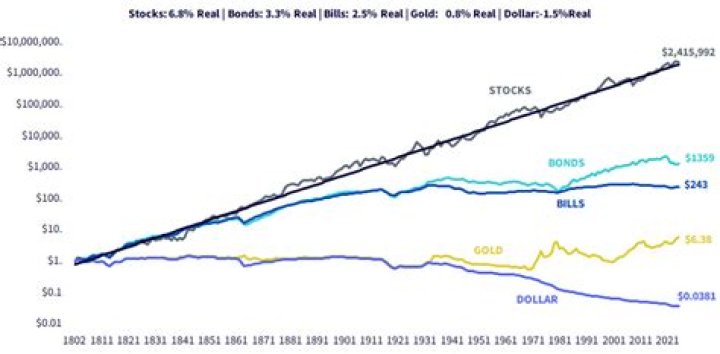 Fame | Ned Siegel net worth and salary income estimation Jan, 2024
