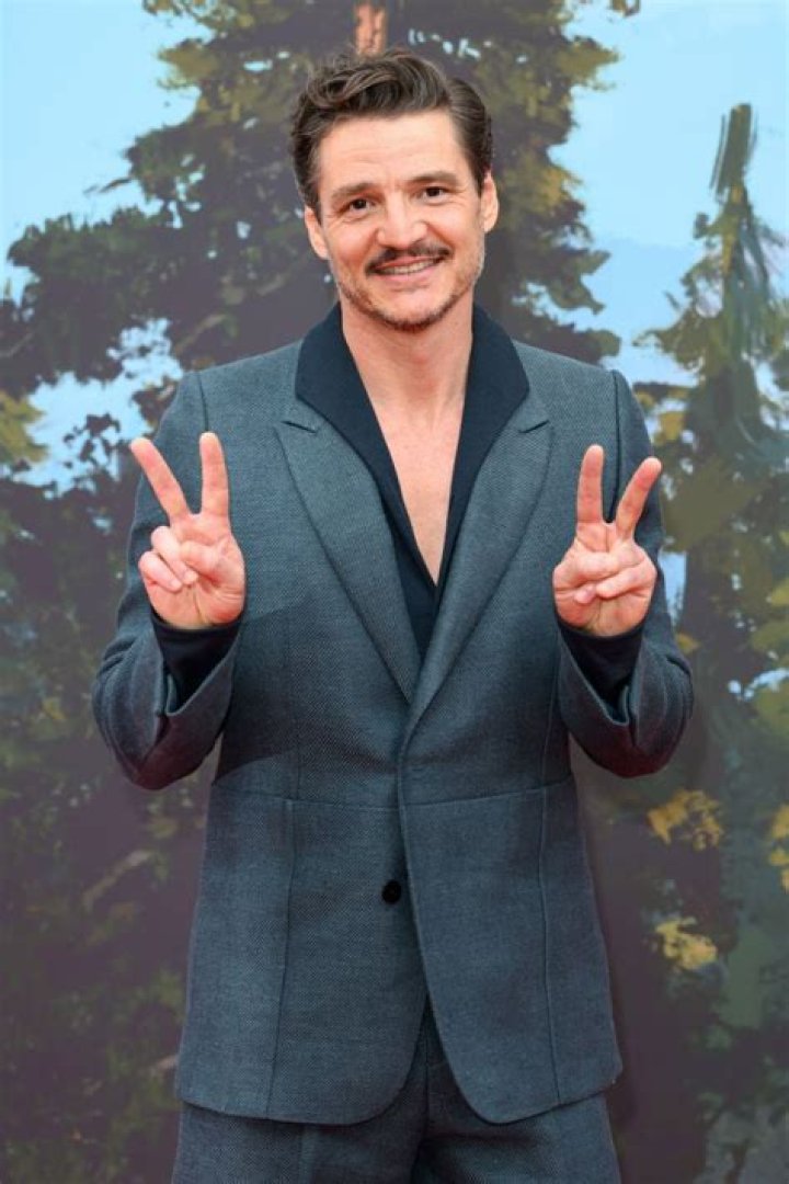 Fame | Pedro Pascal net worth and salary income estimation Apr, 2024