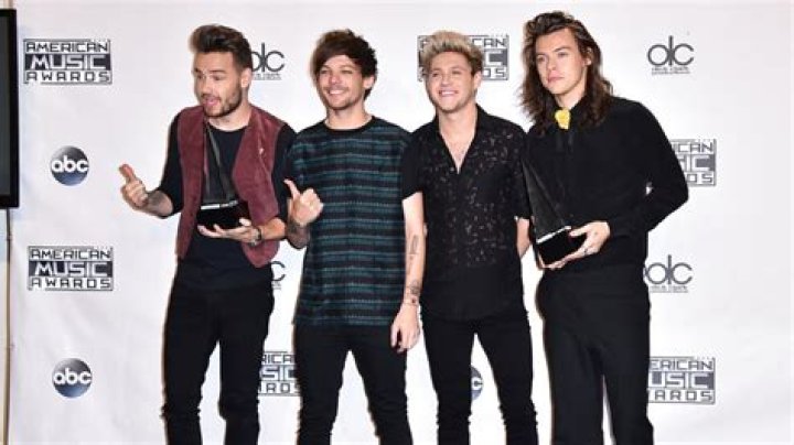 One Direction Is Important Too