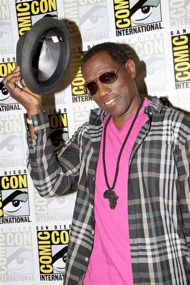 Renaldo Snipes Net Worth 2024, Age, Height, Bio, Birthday, Wiki!