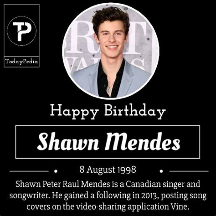 Shawn Mendes' Songwriting: A Reflection Of His Mature Self