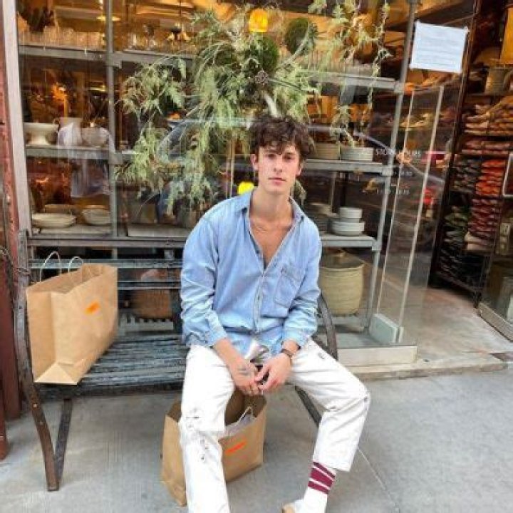 Shawn Mendes Admits Writing His Song “When You’re Gone” After Split With Cabello