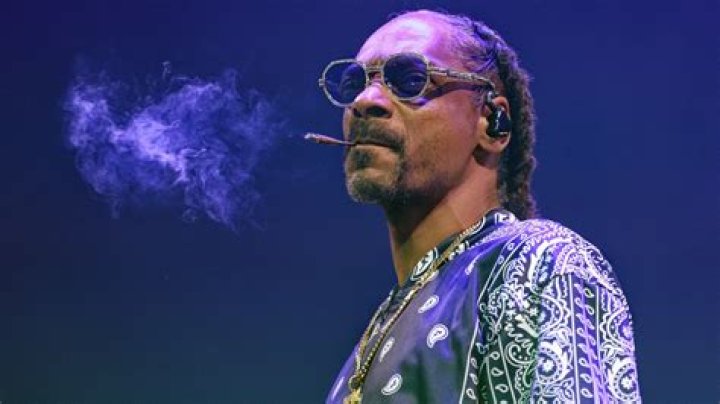 Snoop Dogg Teases Possible "Up in Smoke" Tour Reunion