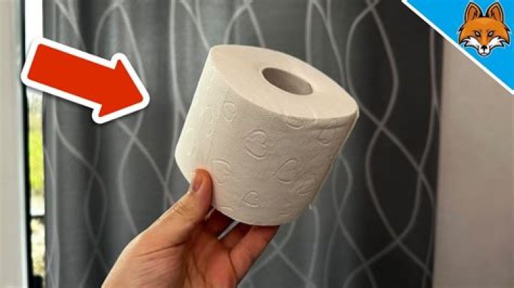 "​​​​​​​Sometimes little toilet paper bits get left behind 'down there'"