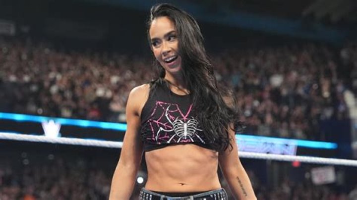 The Five Hottest Divas on the WWE Roster Today – Will Paige Top AJ Lee? (PHOTOS)